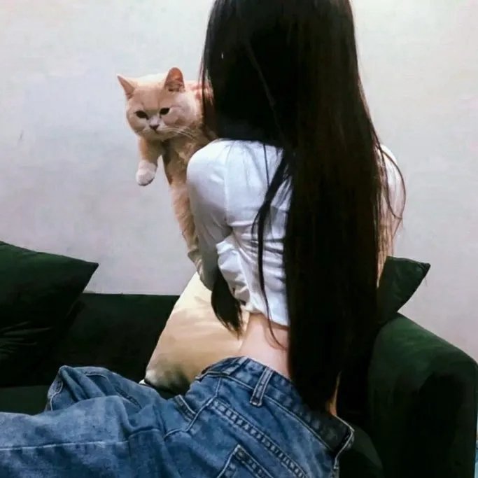 碧云天