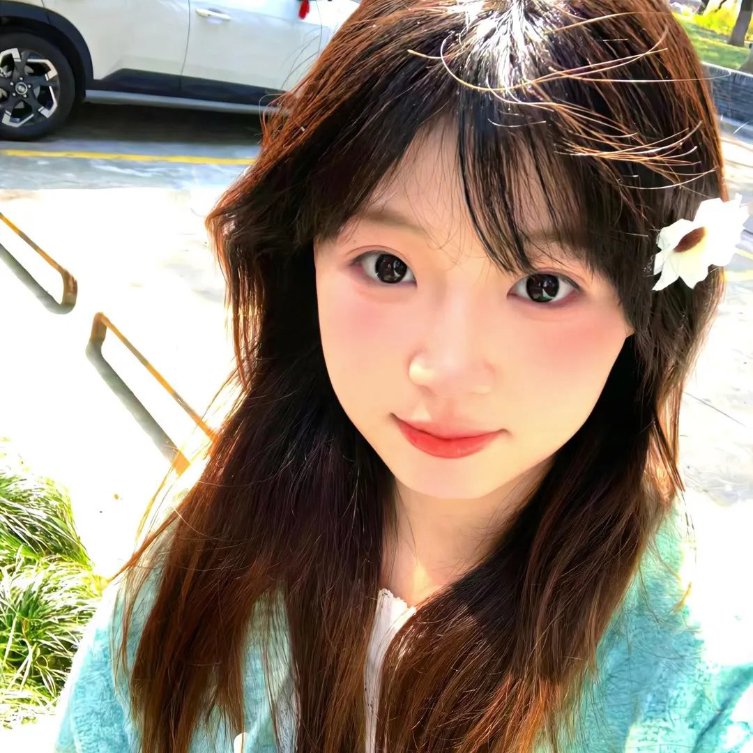 恋爱北极熊